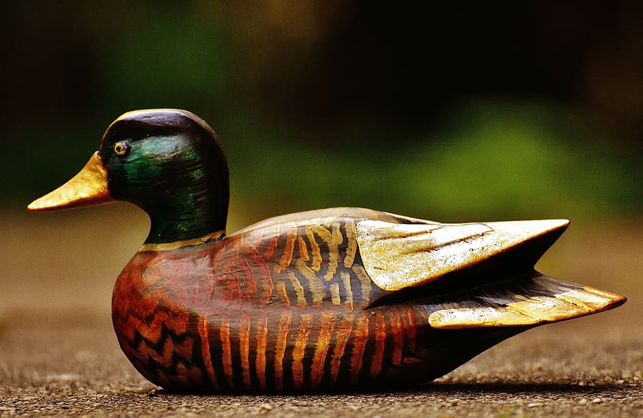 duck, deco, figure, cute, sweet, wood, animal, colorful, focus on foreground HD wallpaper