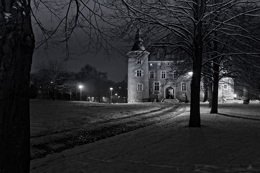 tree, castle, landscape, belgium, charleroi, black and white HD wallpaper