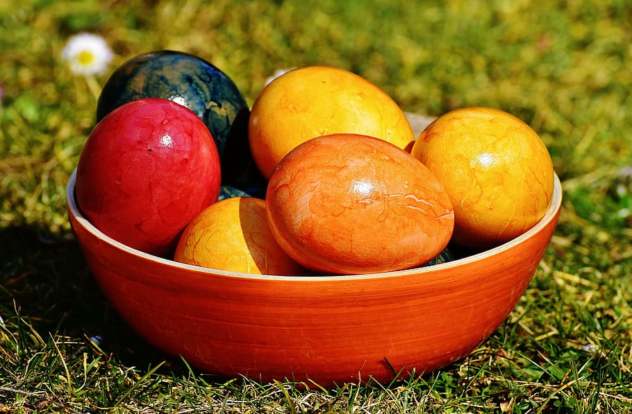 assorted fruits on red ceramic bowl, shell, egg, colored, easter HD wallpaper