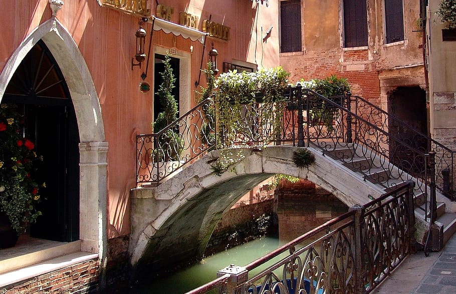photo of white bridge between green potted plants, venice, channel