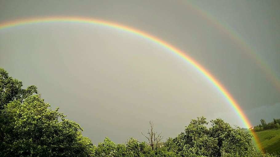 rainbow, landscape, storm, nature, tree, outdoors, beauty in nature HD wallpaper