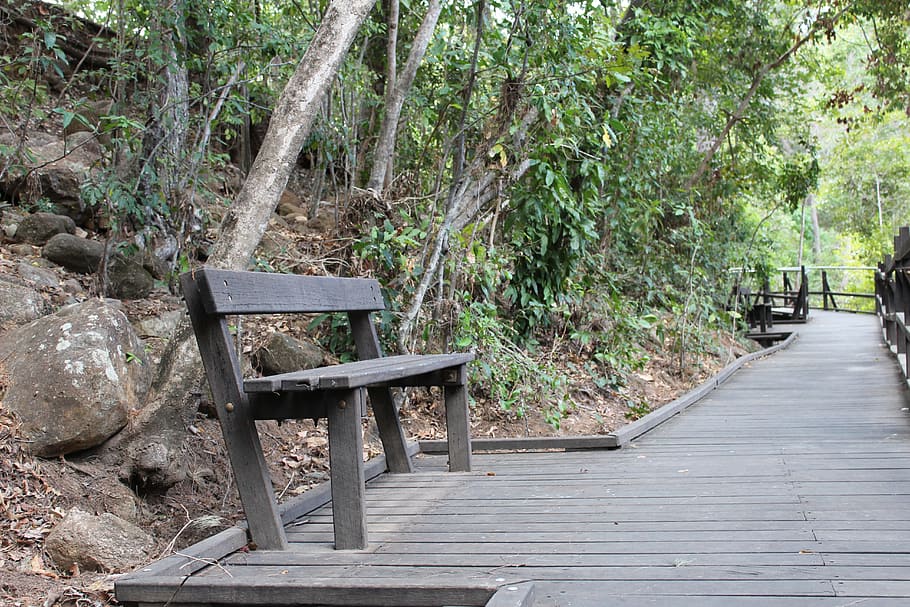 Bench, Seat, Sit, Wooden, happy, park, park bench, nature, outside HD wallpaper