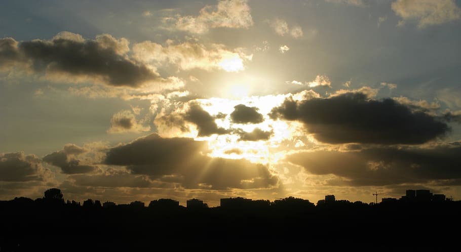sunset, golden, sky, cloud, sunlight, silhouette, skyline, evening HD wallpaper