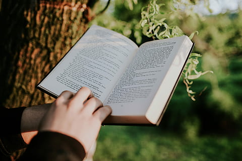 Man reading a book outdoors, hands, outside, sunny, literature HD wallpaper