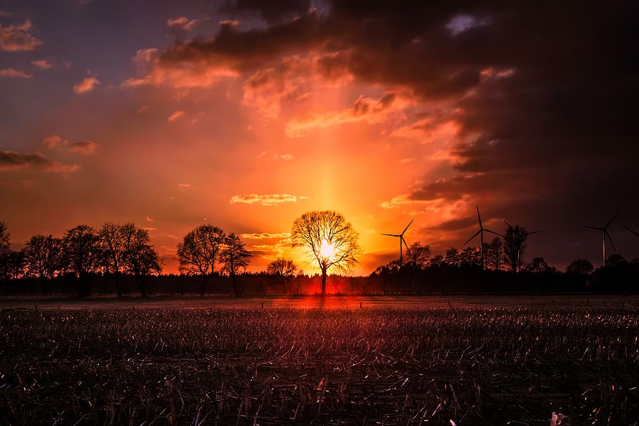 sunset, dawn, dusk, nature, evening, sky, schönwetter, panorama HD wallpaper