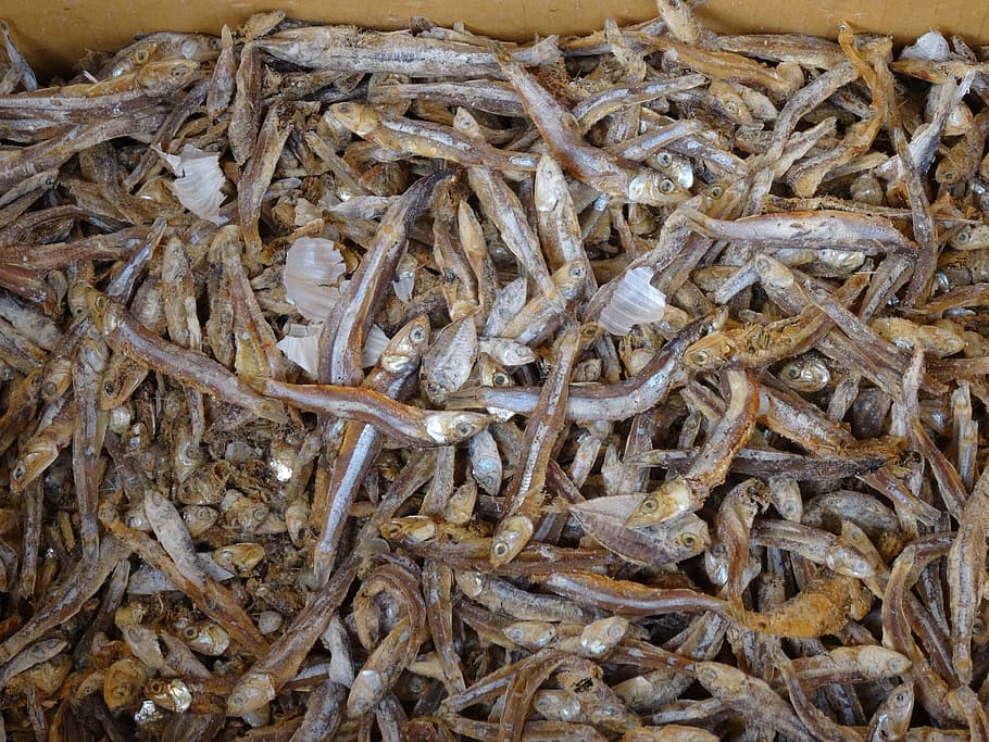 Dried Fish, Close Up, Texture, small dried fish, food, close-up HD wallpaper