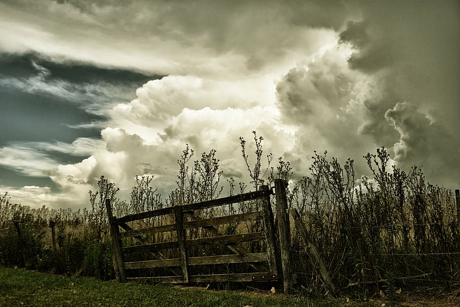 gate, clouds, field, storm, cloud - sky, plant, tree, nature HD wallpaper