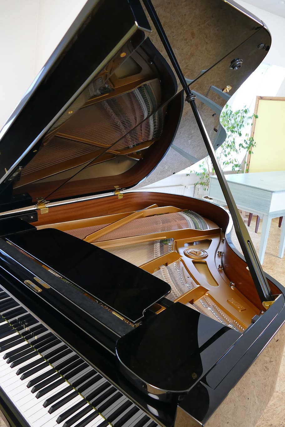 wing, piano, bechstein, grand piano, music, arts culture and entertainment