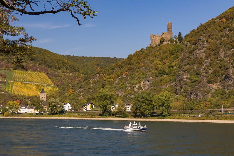 castle mouse, sachsen, germany, middle rhine, autumn, vineyards HD wallpaper