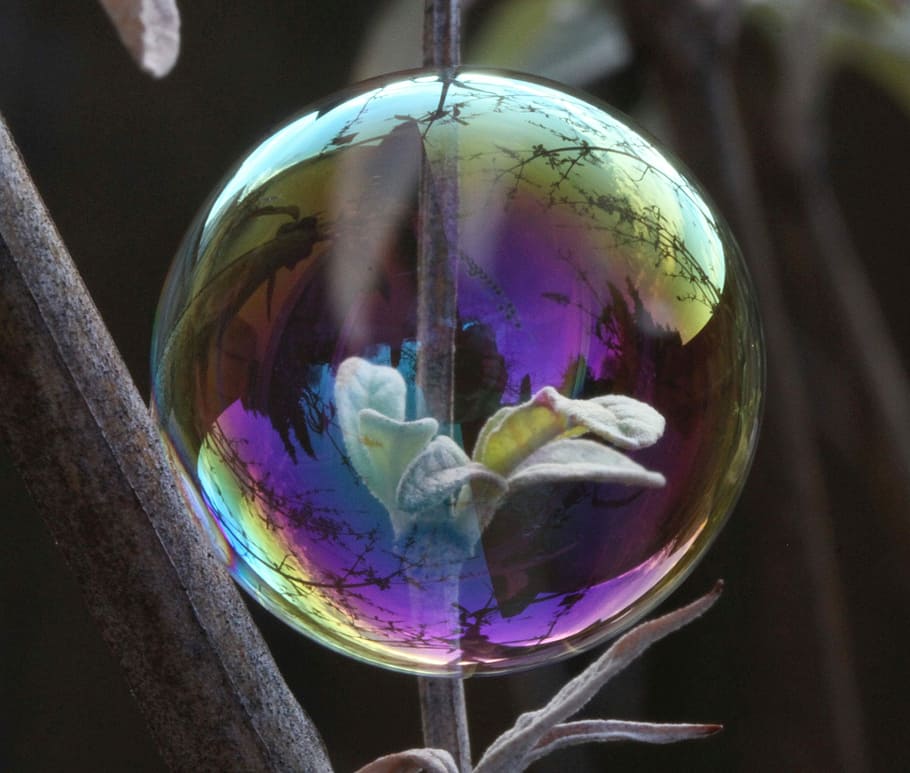 green leaves inside bubble, soap bubble, light, reflection HD wallpaper