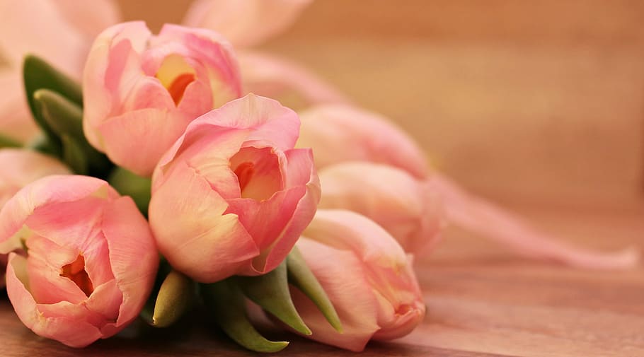bouquet of pink peony, tulips, tulipa, butterfly, butterfly pink, HD wallpaper