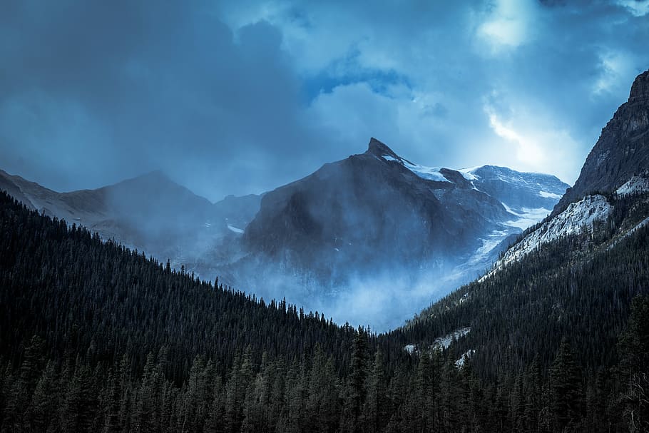 photo of mountain alps, photography of forest near smokey mountain HD wallpaper