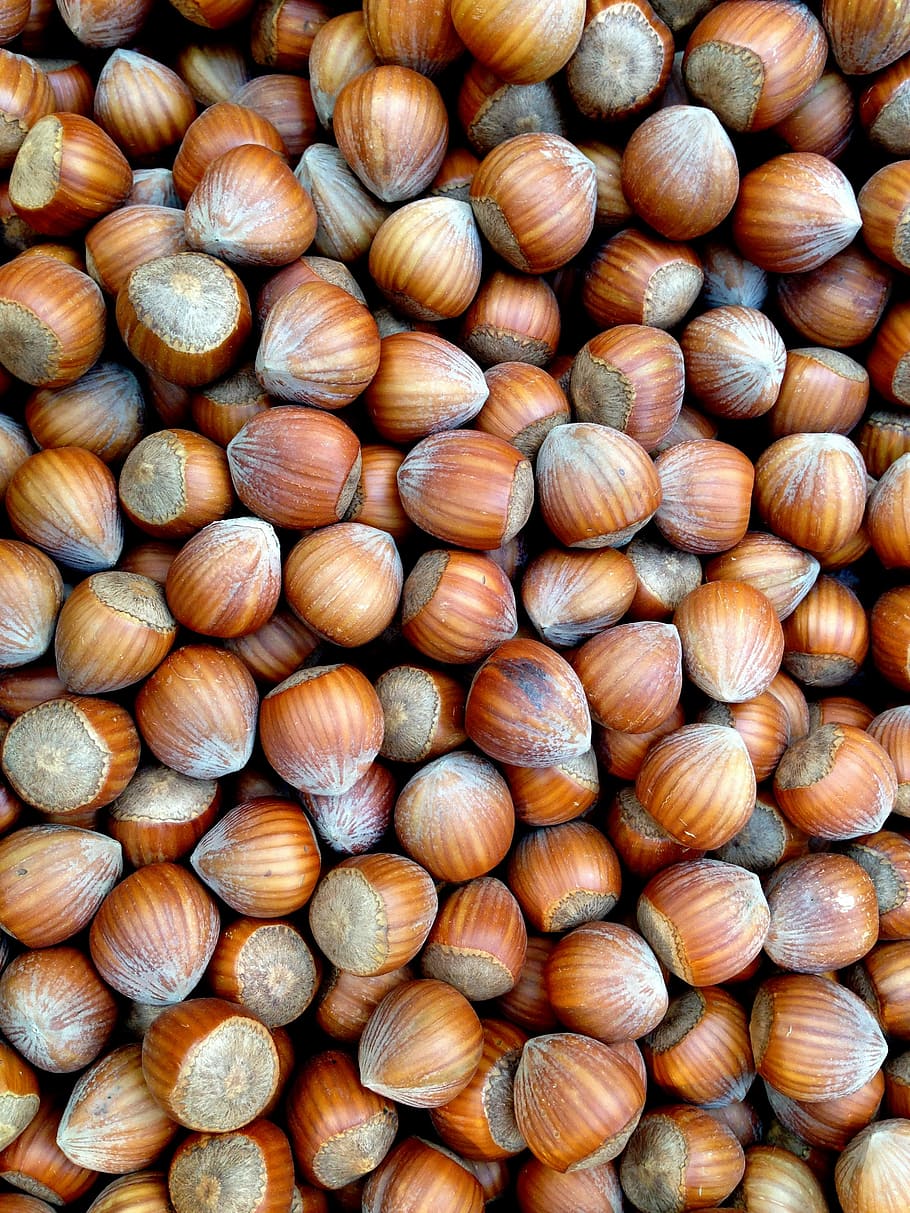 Hazelnuts, Food, Brown, market, shell, autumn, nutshells, still life, HD wallpaper