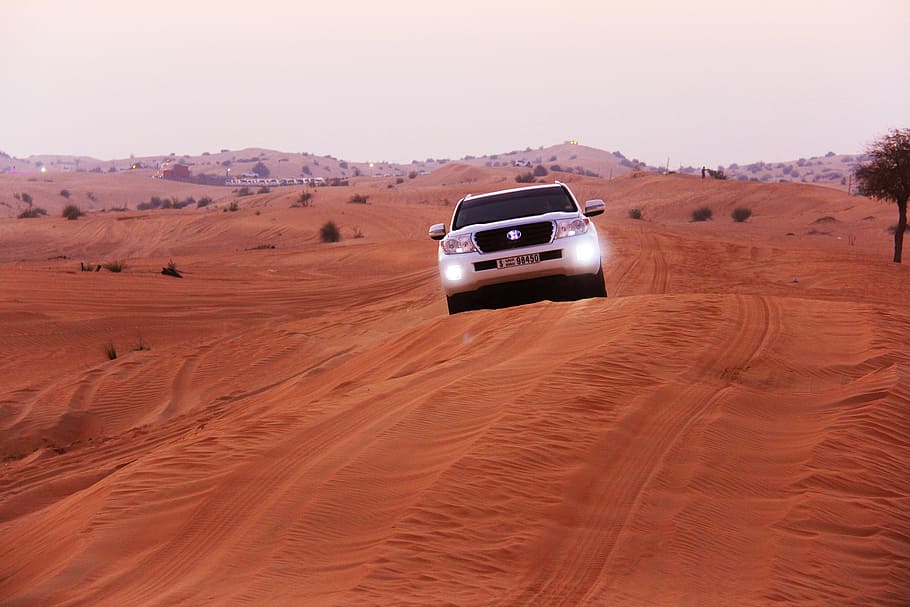 white vehicle on sand during daytime, adventure, safaris, desert