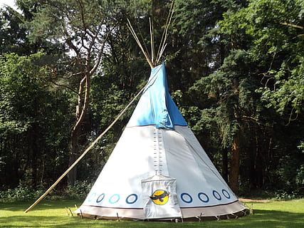white and blue teepee tent near green trees, Tipi, Forest, Nature HD wallpaper