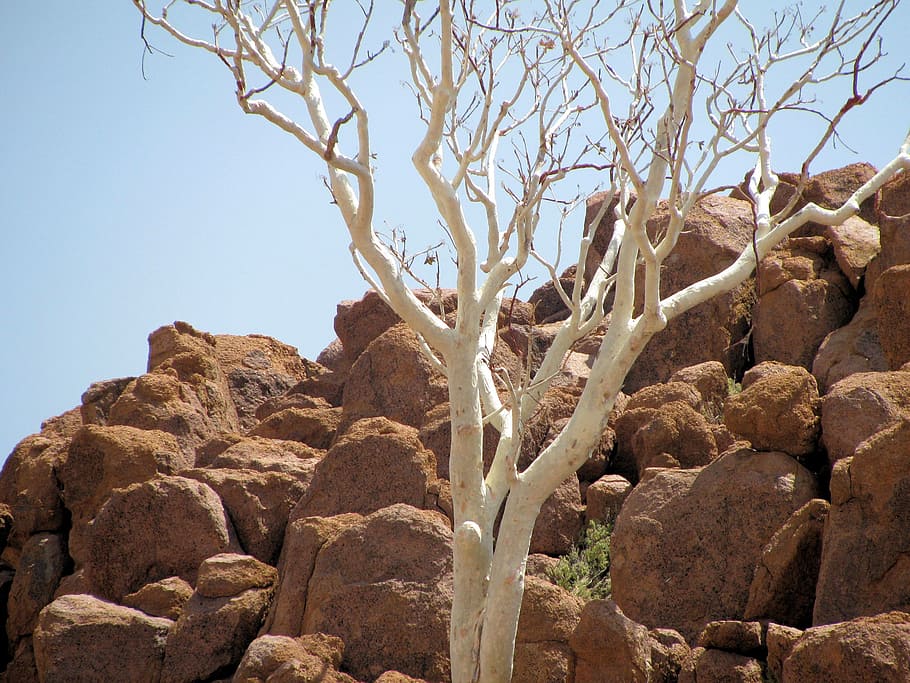 rock, desert, namibia, sky, rock - object, nature, solid, low angle view HD wallpaper