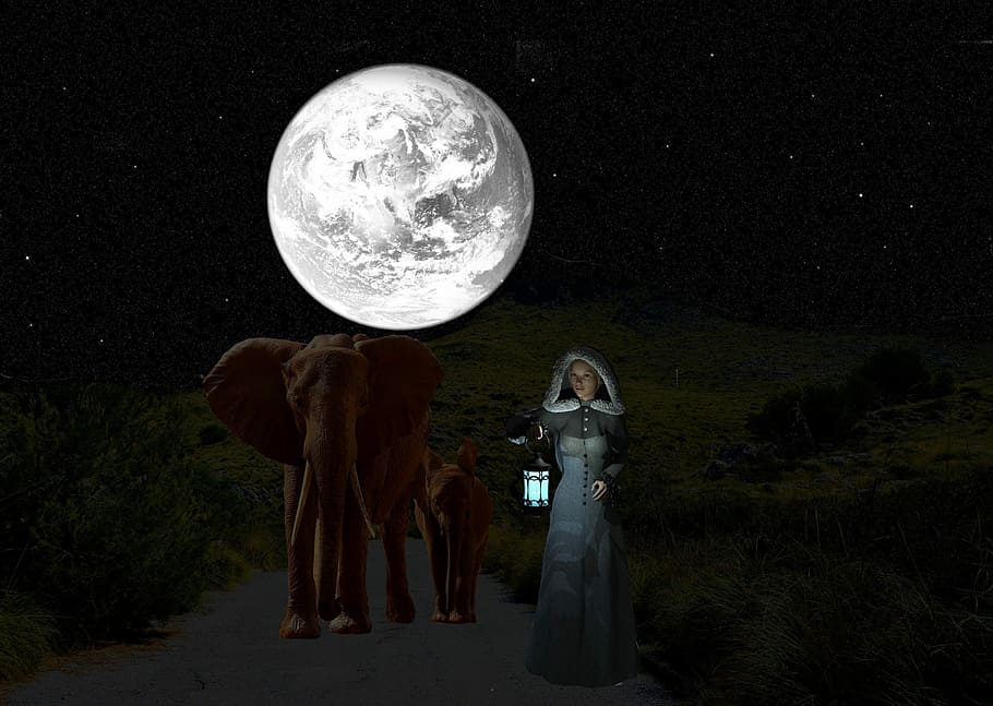 nun holding lamp beside two elephants at night, Good Evening, HD wallpaper