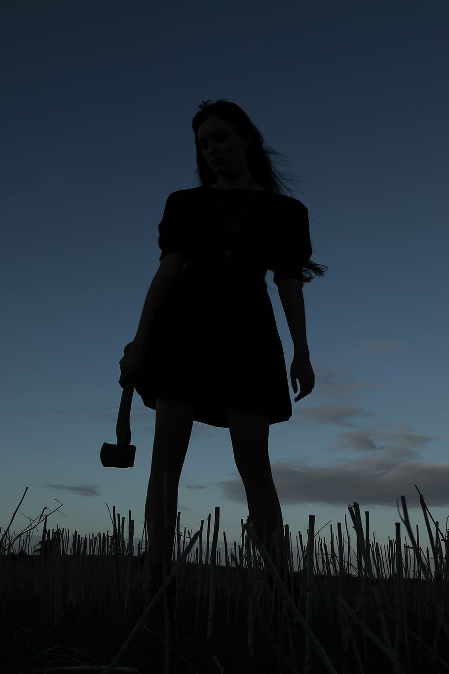 photography of woman during sunset, axe, murderer, silhouette