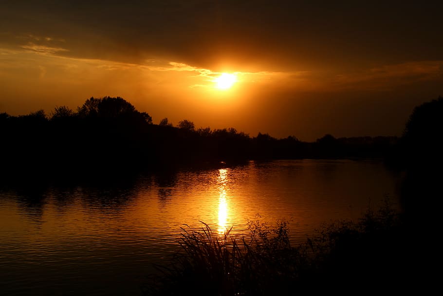 silhouette of trees under sunset, water, reflection, in the evening HD wallpaper