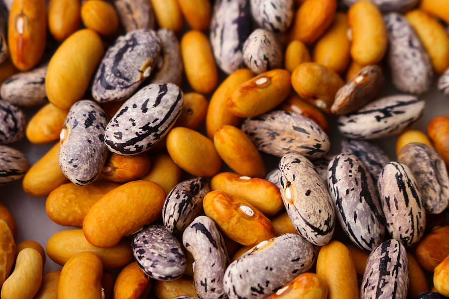 white and brown seeds, beans, haricot, dry, raw, uncooked, natural HD wallpaper