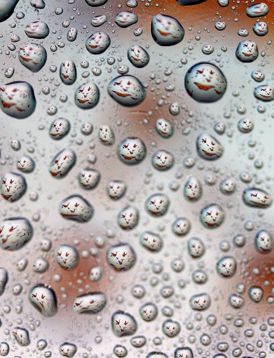 drops, reflection, water, rain, full frame, wet, backgrounds HD wallpaper