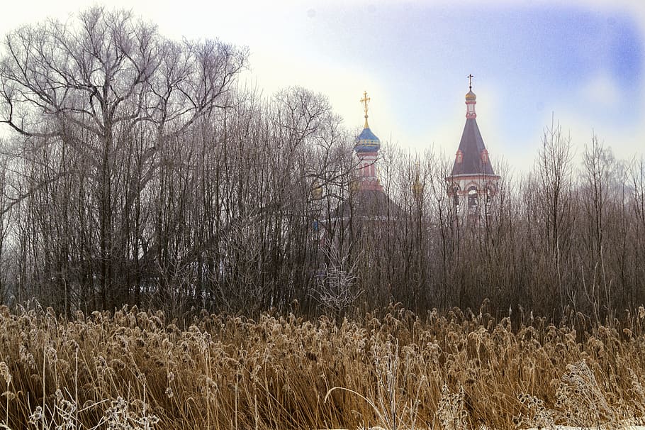 grass, temple, orthodox, religion, building exterior, place of worship HD wallpaper