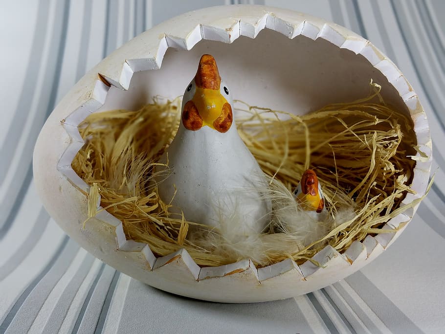 easter, nest, chicken, chicks, spring, food and drink, no people HD wallpaper