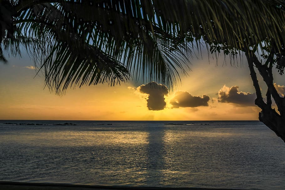 palms, sunset, sky, beauty in nature, water, scenics - nature HD wallpaper