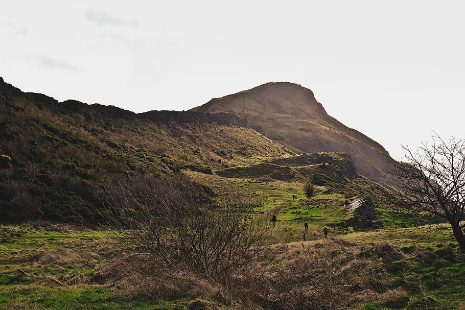 panoramic photography of mountain during daytime, brown, grass HD wallpaper
