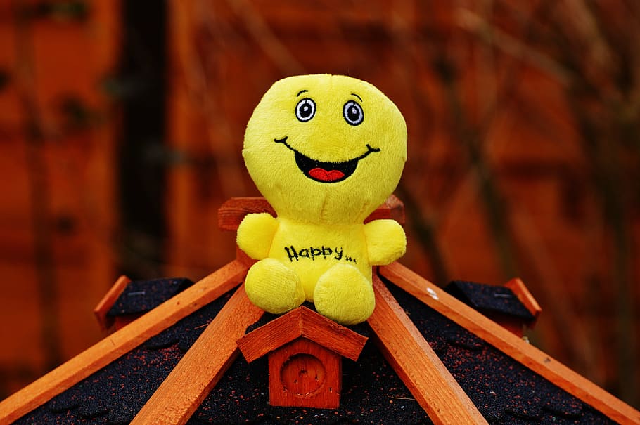 happy, smiley, laugh, funny, emoticon, emotion, yellow, green HD wallpaper