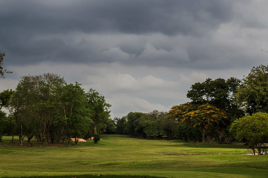 golf, course, golfing, golf course, green, sport, grass, sky HD wallpaper