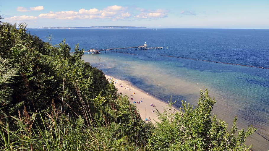 baltic sea, foresight, horizon, flowers, idyll, water, coast, HD wallpaper