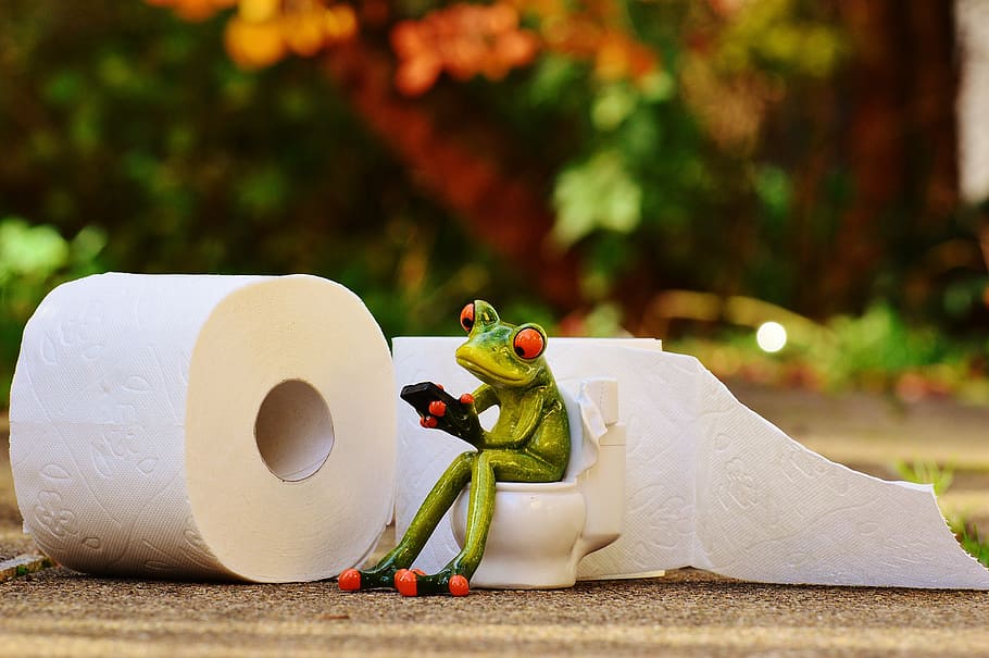 close up photography of frog sitting on toilet figurine, loo HD wallpaper