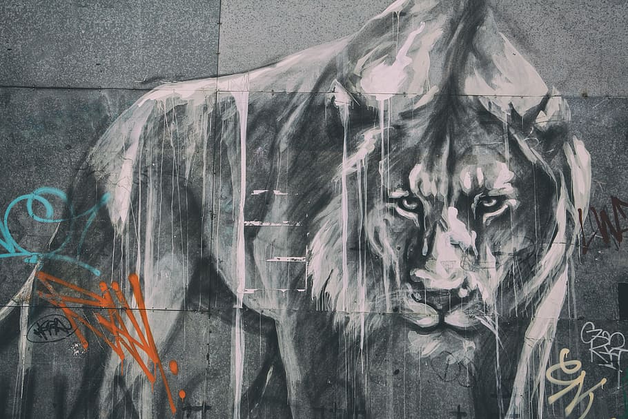 Wide angle shot of street art lion and graffiti, urban, animal