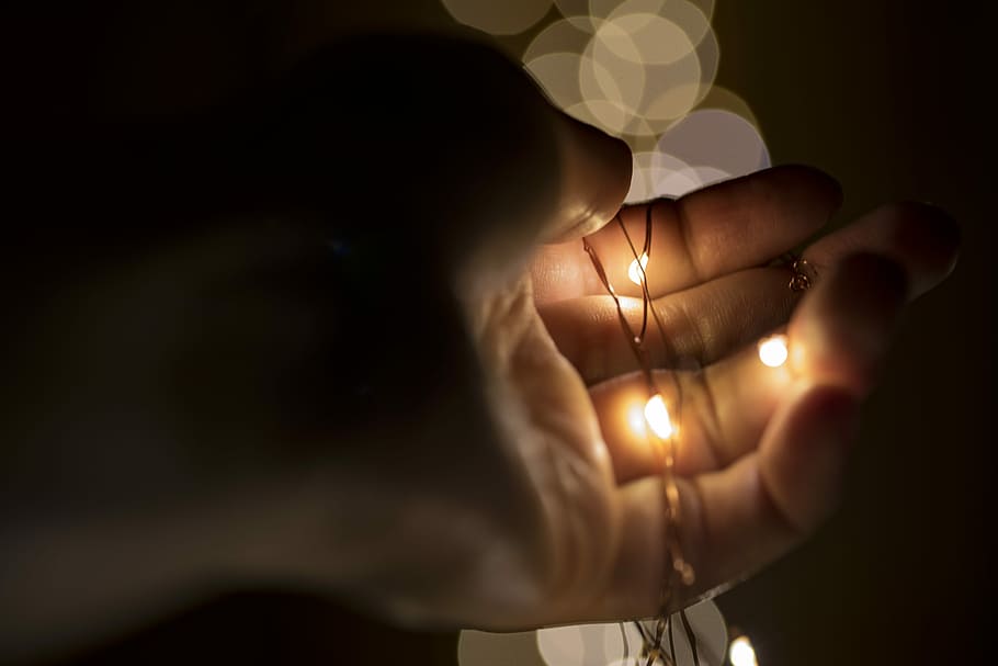 person holding lace with yellow lights, person holding string lights HD wallpaper