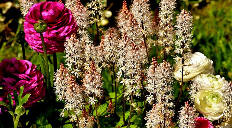 assorted-color flowers, spring, summer, nature, plant, close HD wallpaper