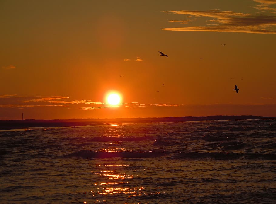 sunset, sea, sunlight, gulls, evening, sky, water, orange color HD wallpaper