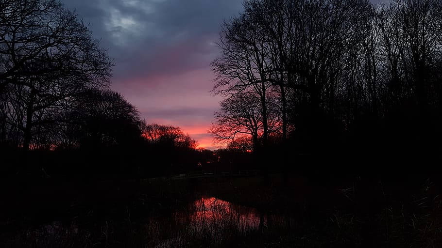 silhouette trees photo during sunset, Sunrise, Dark, Light HD wallpaper