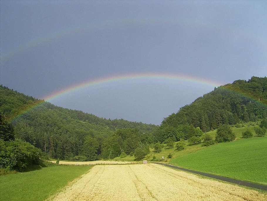 green grass field near road under rainbow, forest, sky, landscape HD wallpaper