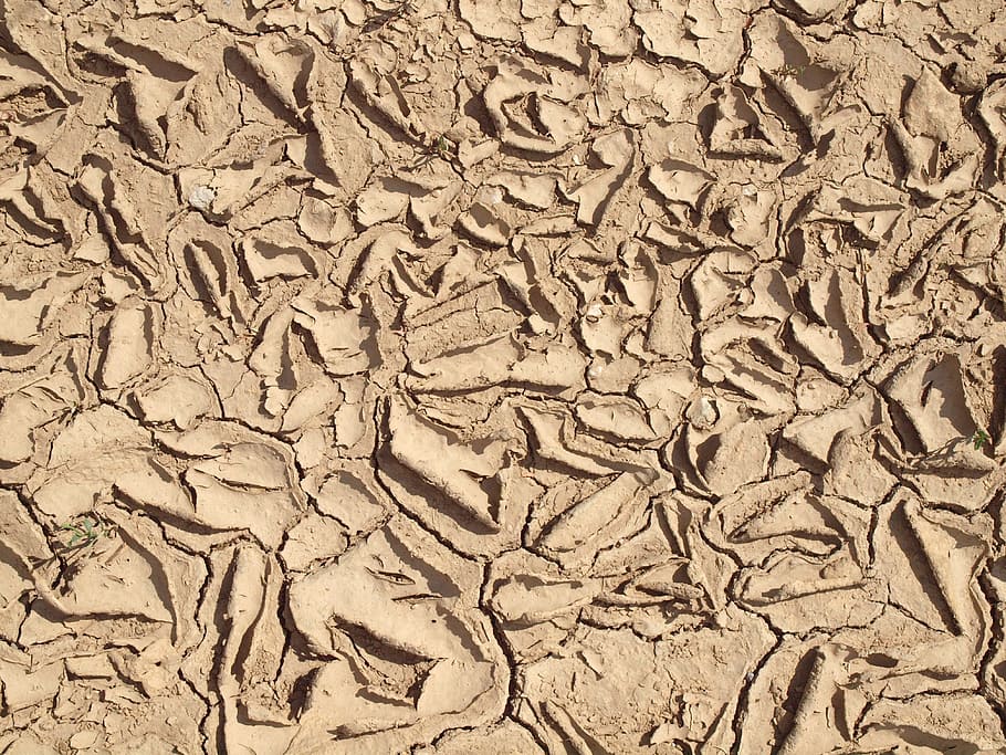 clay, crack, dry, surface, background, structure, sample, the luxury cruise ship HD wallpaper