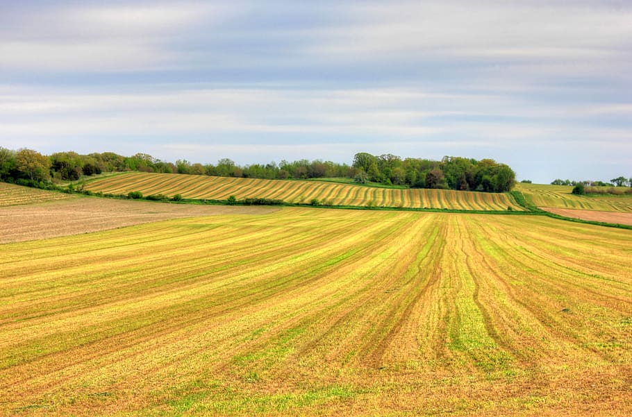 Empty farm to the horizon in Southern Wisconsin, clouds, landscape HD wallpaper