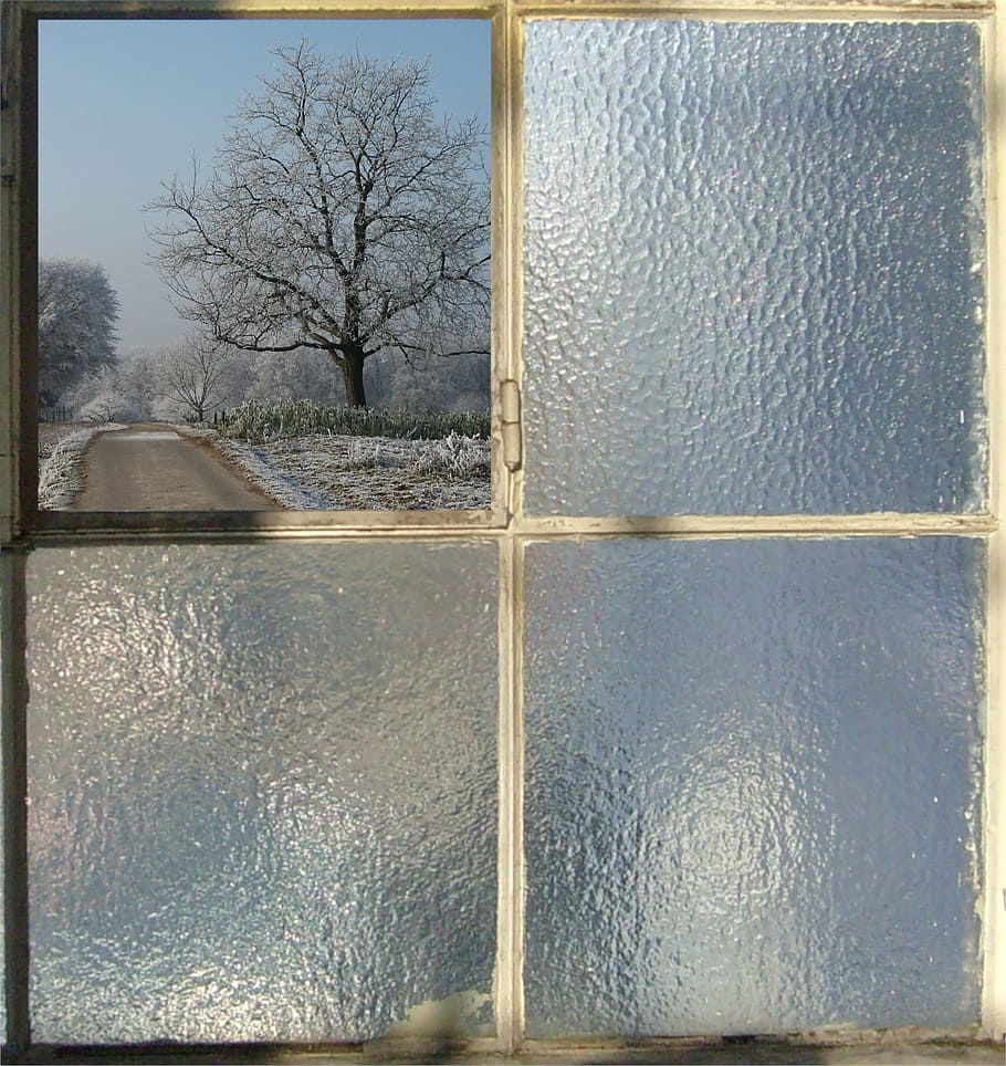 reflection, by looking, window, view, impressions, tree, bare tree HD wallpaper