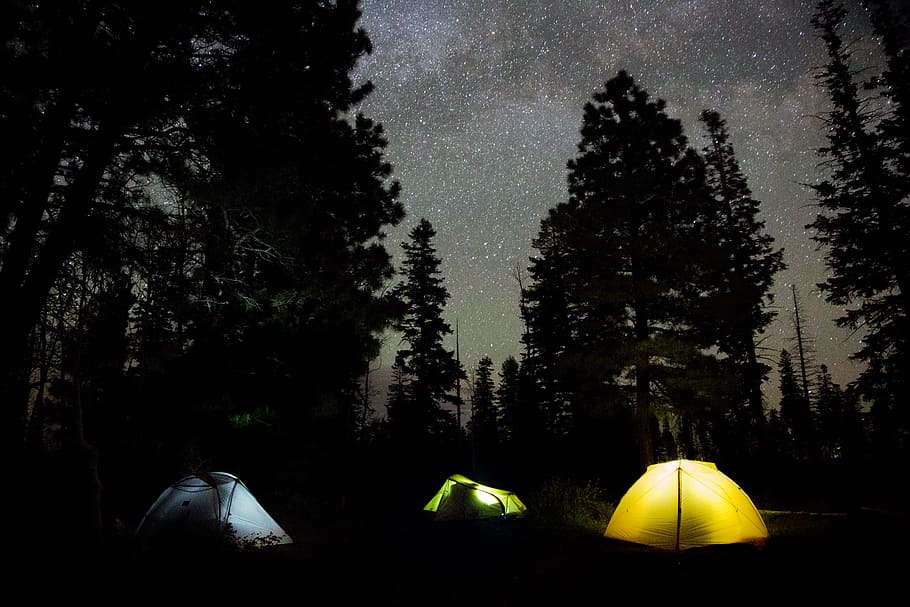 During night time. Желтая палатка ночью. Палатка в лесу ночью. Ночь палатка звезды. Палатка под деревом.