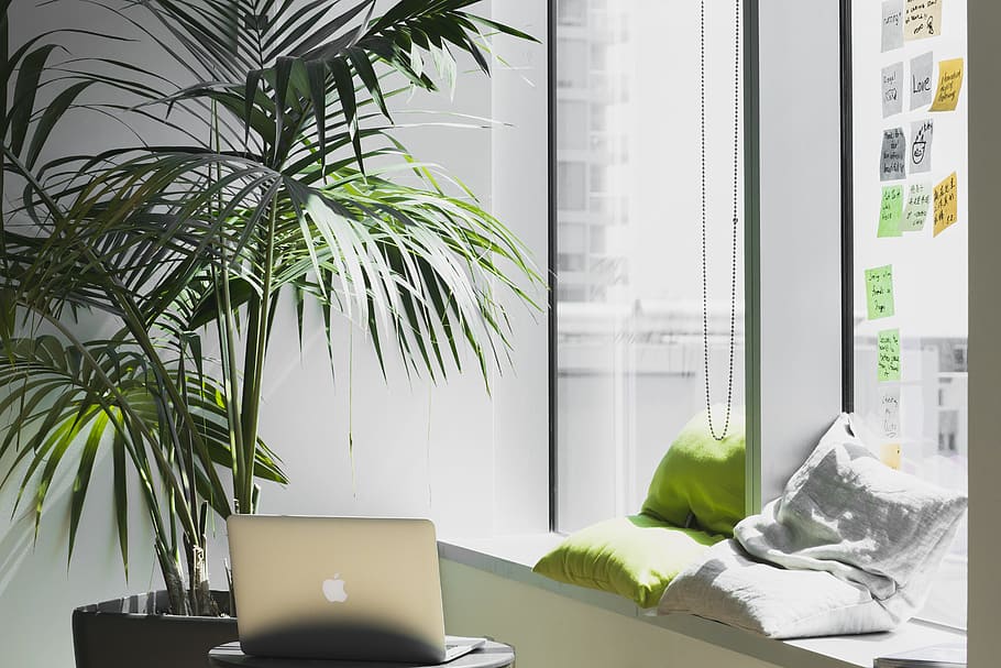 silver MacBook on top of table, Grovemade, interior, cushion HD wallpaper