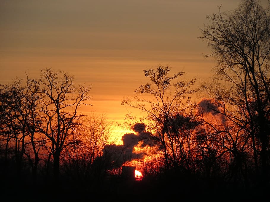 sunset, steam, scene, dusk, trees, silhouettes, orange, industrial HD wallpaper