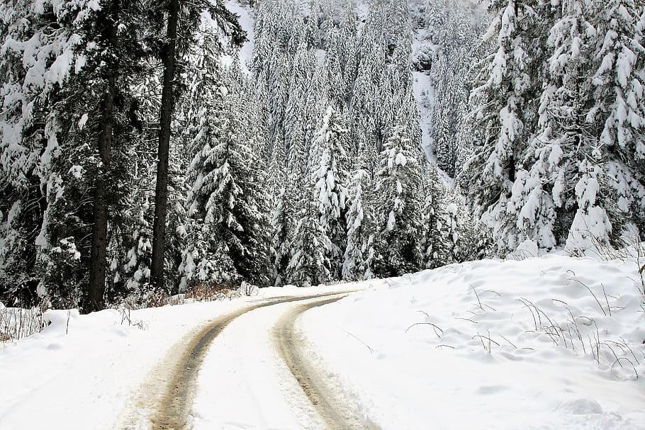 landscape photography of road field with snow, winter landscape