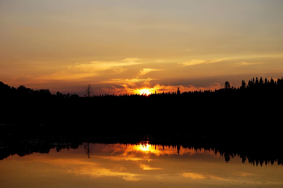 silhouette of trees with body of water during daytime, calm waters reflecting sun and trees HD wallpaper