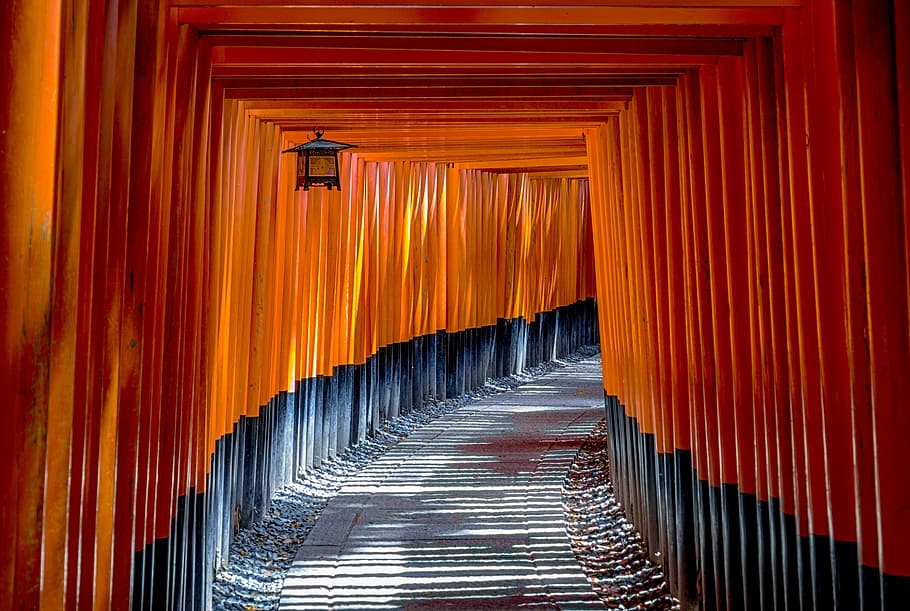 brown wooden board, torii, gate, architecture, culture, traditional HD wallpaper