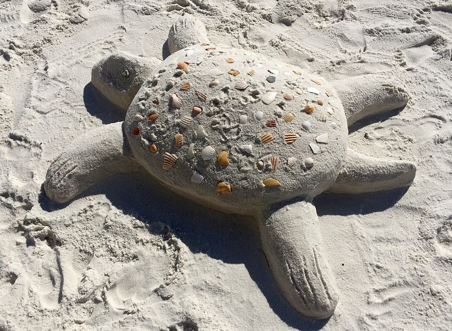 Sand, Beach, Turtle, Beach, Beach Sand, Summer, tropical, coast HD wallpaper