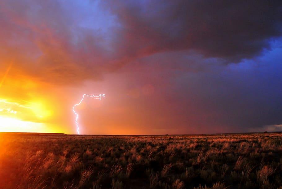 grain field under lightning, storm, sky, weather, landscape HD wallpaper